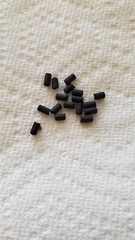 Small, black, rubber pellets found outside apartment door  